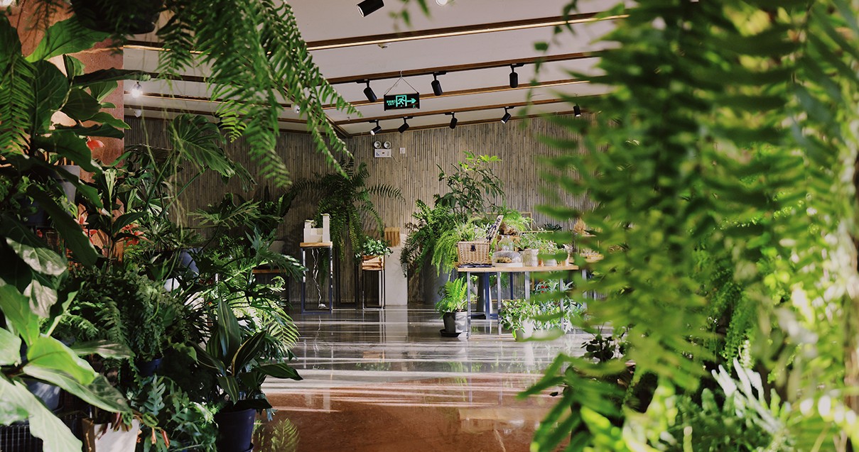 MG不朽情缘奥莱·滇池小镇