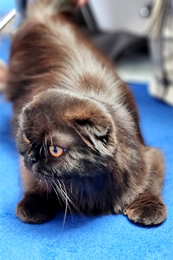 MG不朽情缘(中国区)官网首页