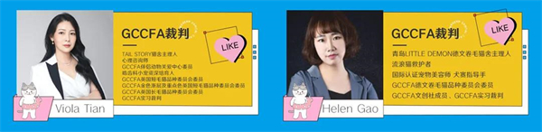 MG不朽情缘(中国区)官网首页