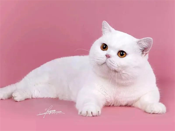 MG不朽情缘(中国区)官网首页