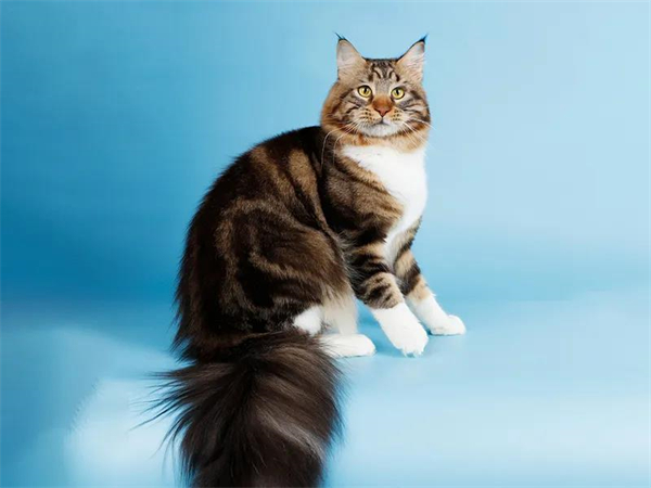 MG不朽情缘(中国区)官网首页