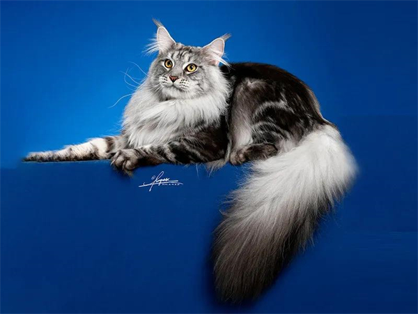 MG不朽情缘(中国区)官网首页