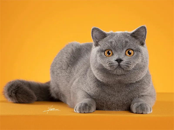 MG不朽情缘(中国区)官网首页