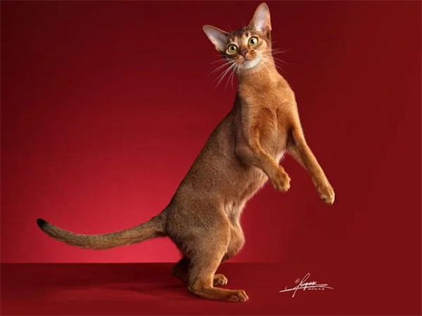 MG不朽情缘(中国区)官网首页