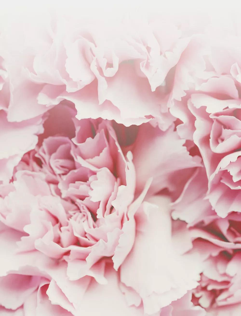 MG不朽情缘(中国区)官网首页