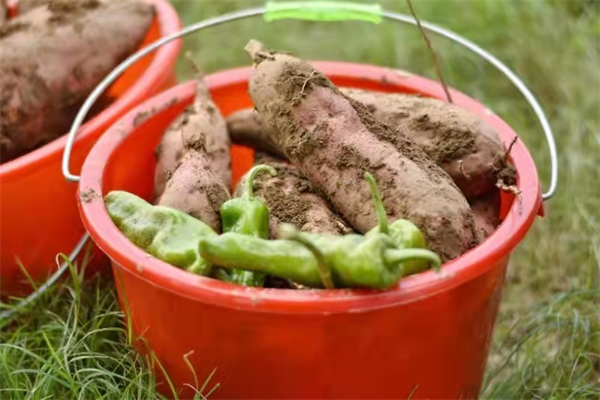 MG不朽情缘(中国区)官网首页
