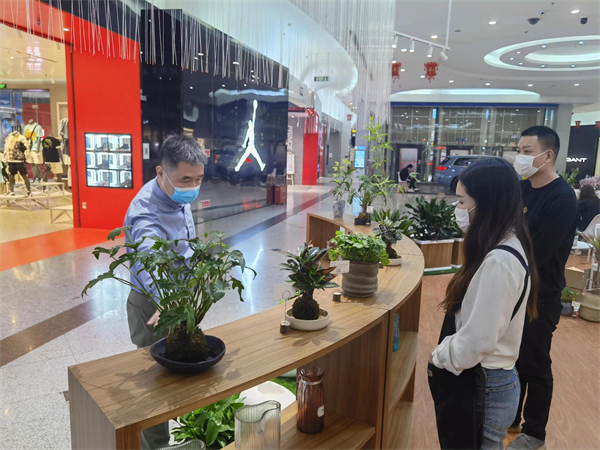 MG不朽情缘(中国区)官网首页