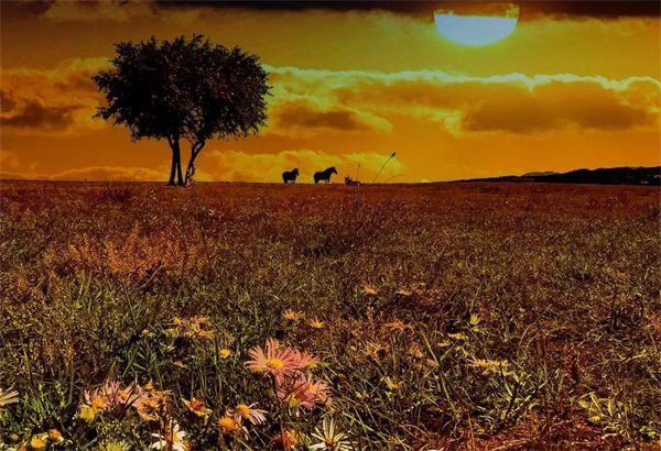 MG不朽情缘(中国区)官网首页