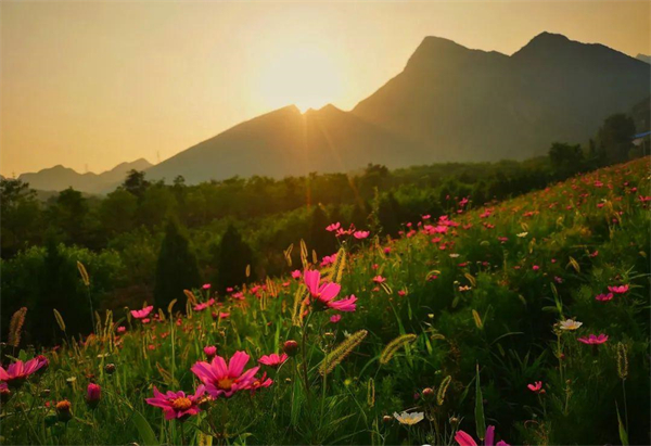 MG不朽情缘(中国区)官网首页