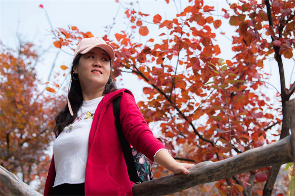 MG不朽情缘(中国区)官网首页