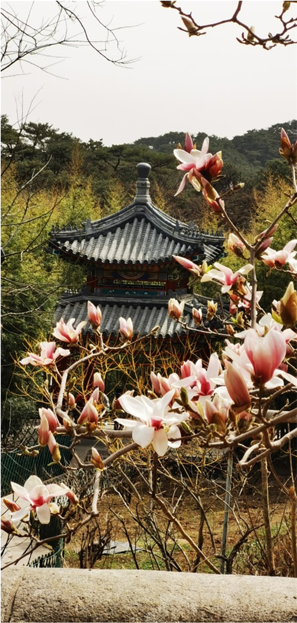 MG不朽情缘(中国区)官网首页