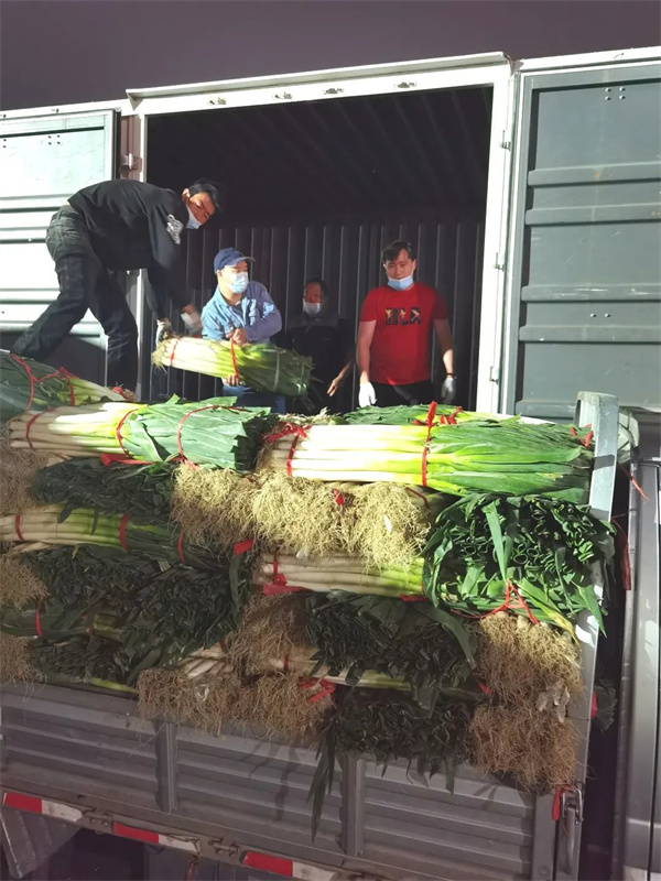 MG不朽情缘(中国区)官网首页