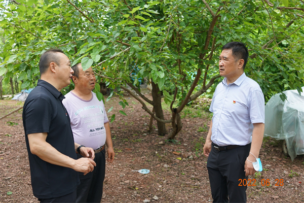 MG不朽情缘(中国区)官网首页