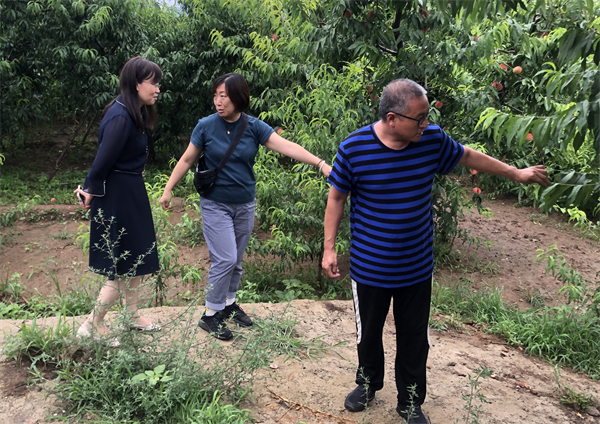 MG不朽情缘(中国区)官网首页